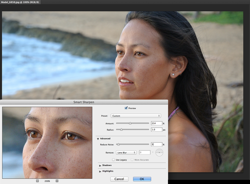 Illustration for article titled Say Goodbye to Creative Suite: Adobe CS Is Now Creative Cloud